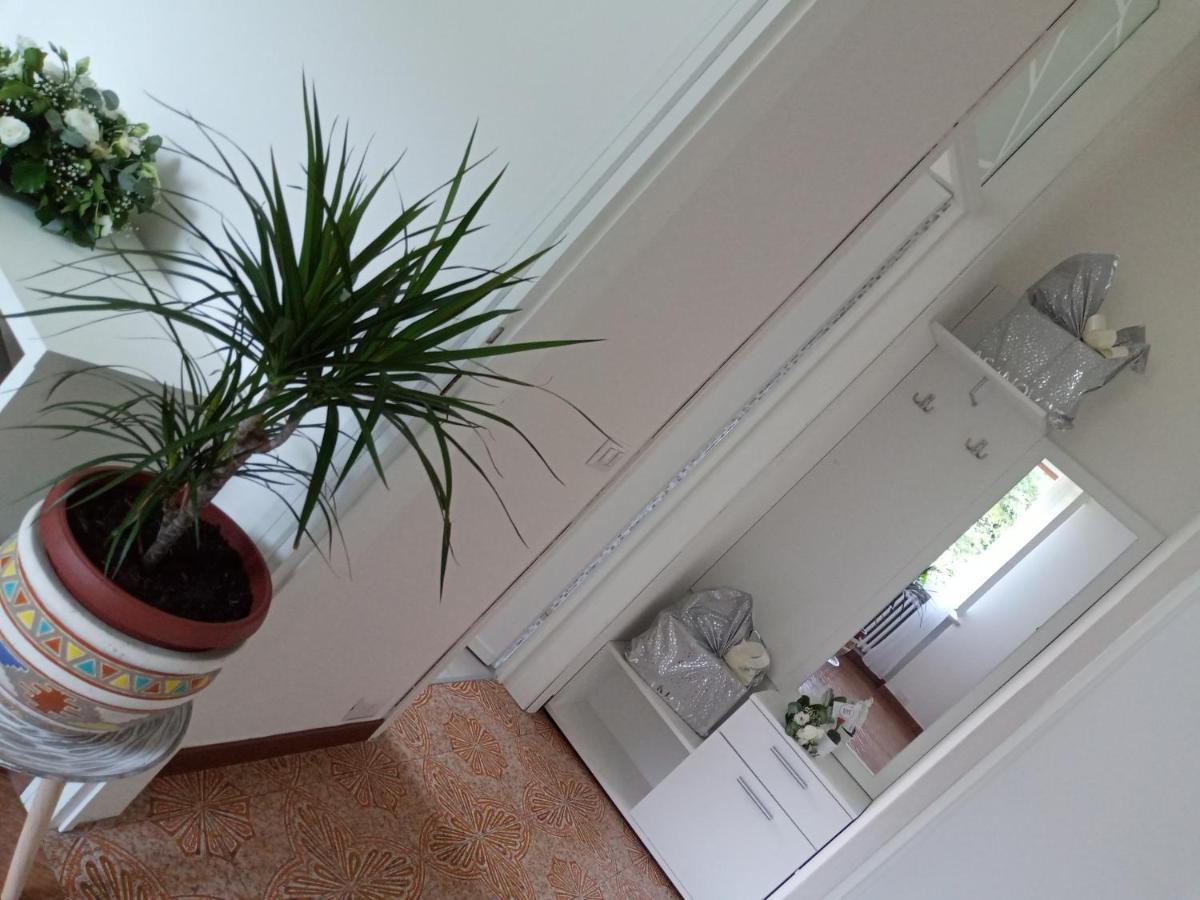 Appartamento L'Airone Cenerino Canzo 外观 照片