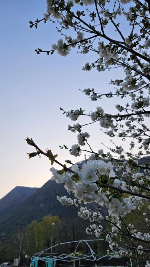 Appartamento L'Airone Cenerino Canzo 外观 照片